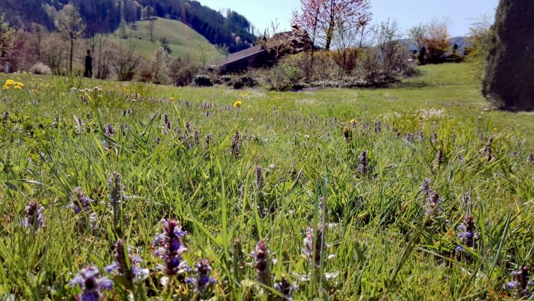 Ferienhäuser Kogelsbach, © S. Heigl / Ferienhäuser Kogelsbach
