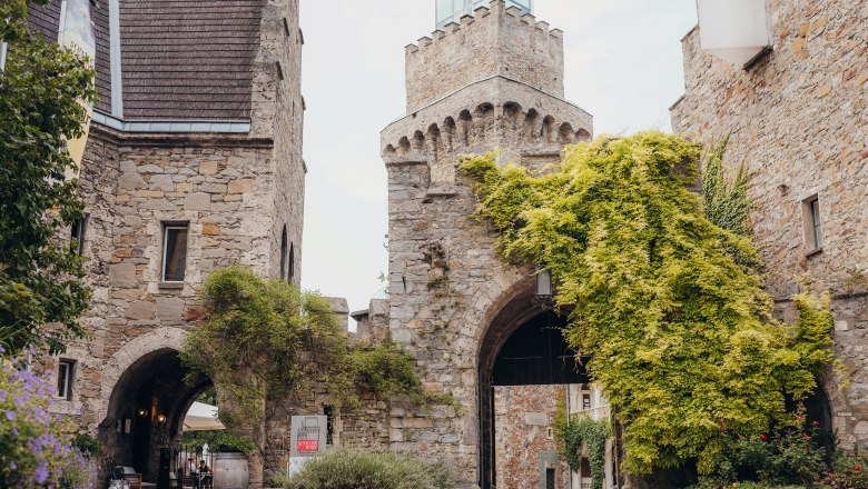 Entrance gate of Rothschild Castle with overgrown stone walls.