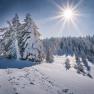 Winterstimmung, © Gerald Demolsky
