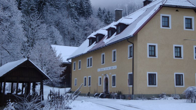 Rinntaverne, © Rinntaverne Ein gelbes Gebäude im Schnee, umgeben von schneebedeckten Bäumen und einem Holzpavillon.