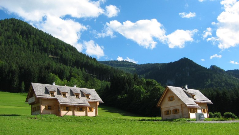 Two wooden houses on a green meadow in front of wooded mountains and a blue sky.