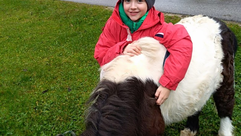 Horse, &copy; Gabriele Danner