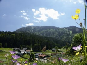 Sommer in Lackenhof am &Ouml;tscher, &copy; &Ouml;TV
