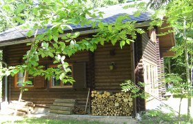 Blockh&uuml;tte im Wald mit Holzstapel und gr&uuml;nen Bl&auml;ttern im Vordergrund.