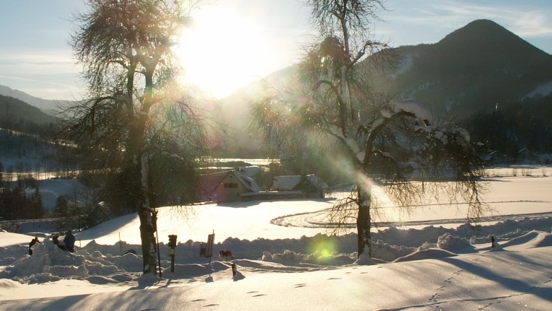 Winter landscape, © Gasthof Stiegenwirt