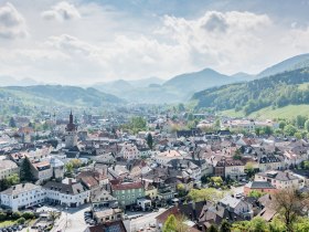 View of Waidhofen an der Ybbs, &copy; Stadt Waidhofen an der Ybbs