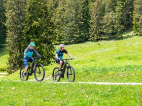 Almen E-Bike Tour zur Kitzh&uuml;tte und Siebenh&uuml;tten-Alm, &copy; (C) Wolfgang Wutzl