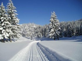 Panoramaloipe Hochreit, &copy; Mostviertel