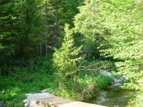 Bachweg, &copy; Mostviertel