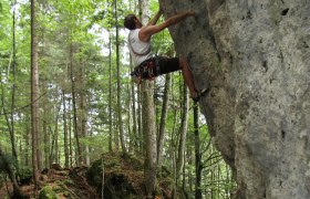 Pure nature in the Schluchtenweg, © Ybbstal Climbing