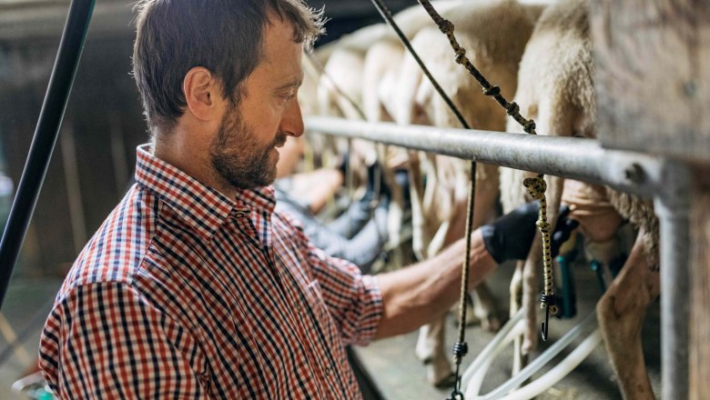 Biobauernhof Orth, &copy; Martin Erd