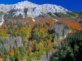 The autumnal colors of the forests glow in bright yellows and reds, while the majestic mountains in the background provide an impressive backdrop. A gentle breeze blows through the trees, carrying with it the scent of fresh leaves and earth. Here, in untouched nature, you will find peace and inspiration.
