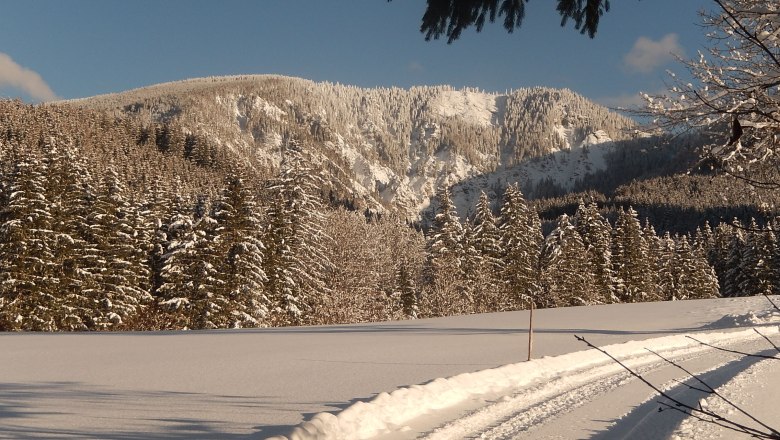 Cross-country skiing on the doorstep, &copy; Karin Redlsteiner