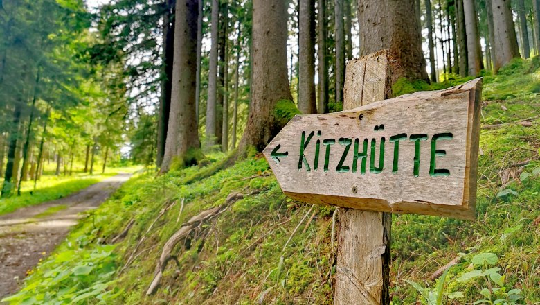 Hiking Hollenstein/Ybbs, © Werner Schrittwieser