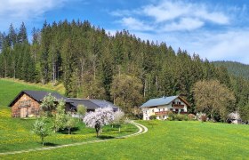 20240412_145438.jpg 1, © Poidlbauer