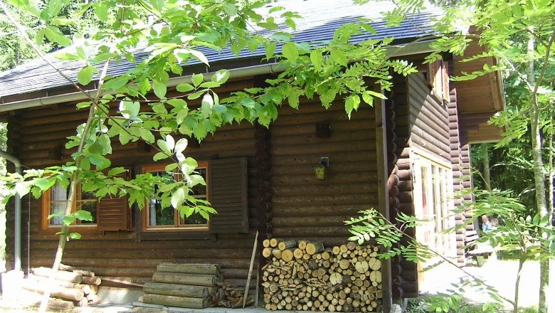 Log cabin in the forest with a pile of wood and green leaves in the foreground.
