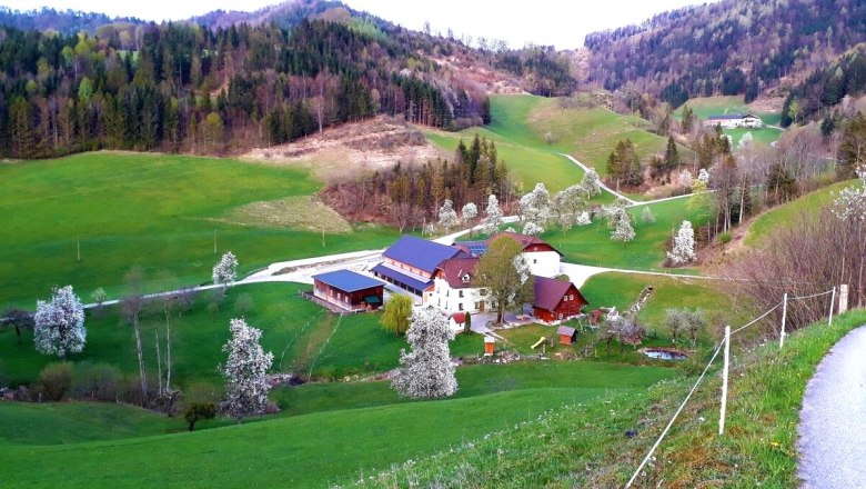 Urlaub am Bauernhof-Oberrehau, © Andrea Kronsteiner Urlaub am Bauernhof-Oberrehau, © Andrea Kronsteiner