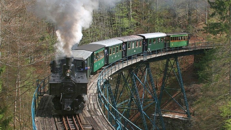 Dampflok auf einer Brücke im Wald