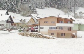 Modern house in the snow with surrounding buildings and forest in the background.