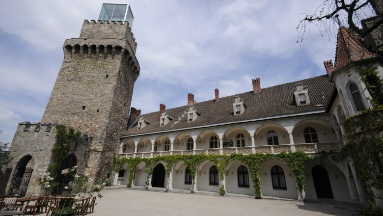 Ein historischer Schlosshof mit einem steinernen Turm und einem Geb&auml;ude mit Arkaden und Kletterpflanzen.