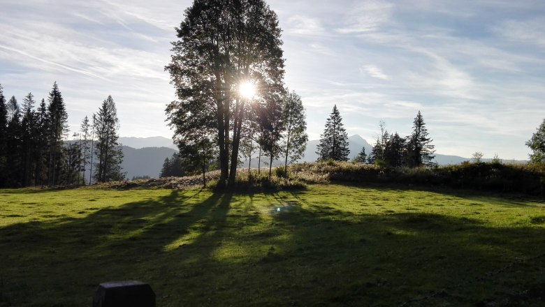 sonnenaufgang-bergwiese, &copy; Zwickelreih