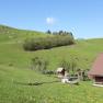 Vacation on the farm-Oberrehau, &copy; Andrea Kronsteiner