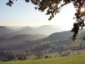 Am Panoramah&ouml;henweg, &copy; weinfranz.at