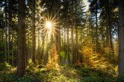 Herbst, © pixabay.at