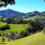 Vacation on the farm-Oberrehau, &copy; Andrea Kronsteiner