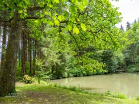 Idyllic ponds line the path, &copy; Theo Kust