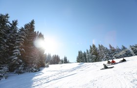 Winter in Hollenstein, © Doris Schwarz-König