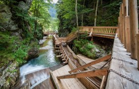 Hiking on the path of wood, © most-media.at