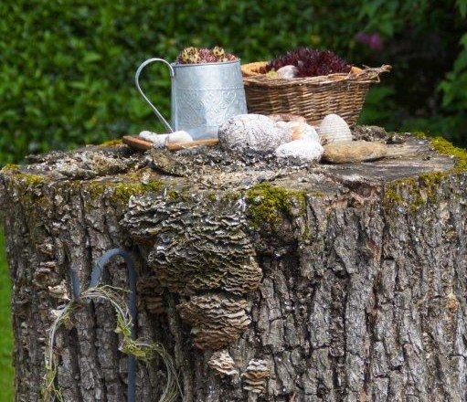 G&auml;stebuch, &copy; Melanie Roseneder