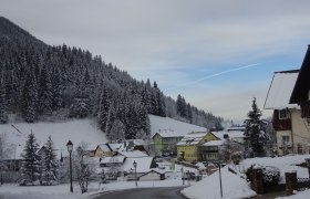 View of the village from Wolf's Revier, © Veronika Haberfellner