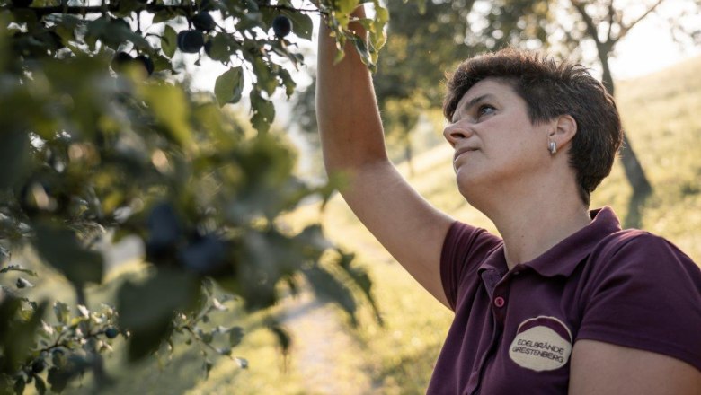 Bauernhof Grestenberg, &copy; Gerald Demolsky