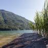 Ein Holzsteg führt zu einem See mit Schilf am Ufer und einem bewaldeten Berg im Hintergrund.