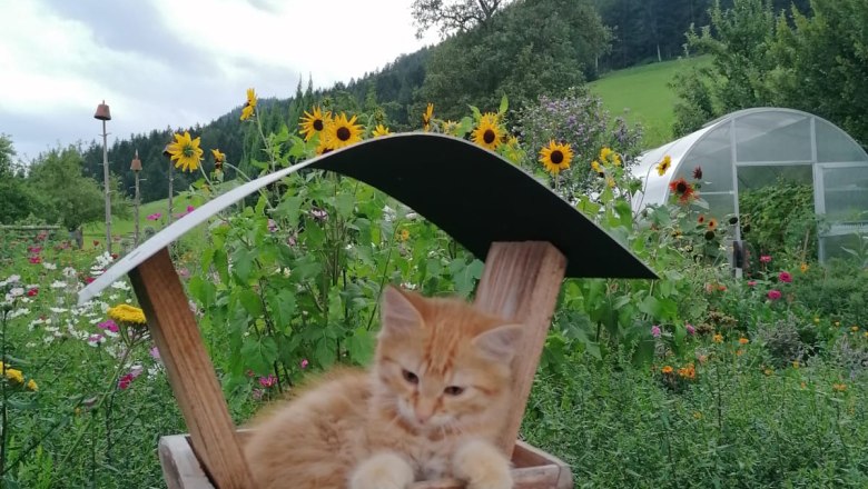 holiday-house-lenzau-6, &copy; Ferienhaus Lenzau