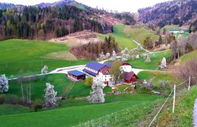 Vacation on the farm-Oberrehau, &copy; Andrea Kronsteiner
