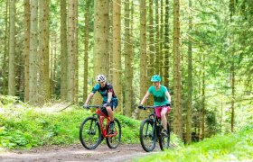 MTB_Forest, &copy; Wolfgang Wutzl