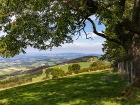 Ausblick vom Hochkogel, &copy; Theo Kust