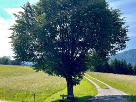 Grabenrundweg Opponitz, &copy; (C) RudiKefer