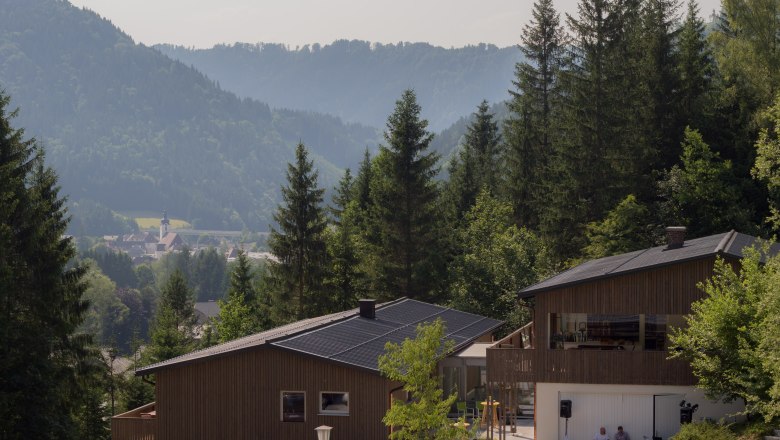 Die Bienenkunde, &copy; Fahrnberger Ludwig