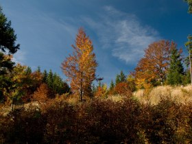 Ridgeway, &copy; Mostviertel