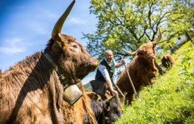 Organic farm Lacken, © Familie Blamauer