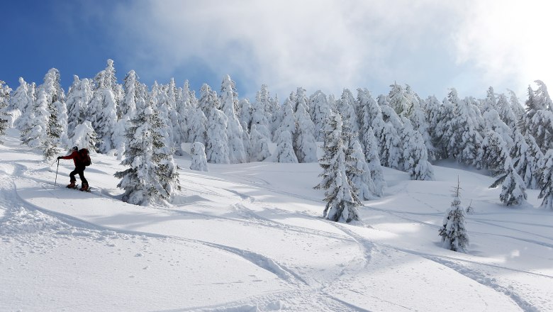 Skitouren am Ötscher, © weinfranz.at