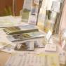 A table with various brochures and flyers about tourist activities in Lunz and the surrounding area.