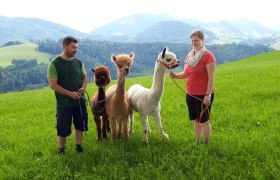 Hiking with the alpacas, © Urlaub am Bauernhof - Fam. Schweighuber