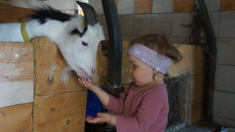 Stall, &copy; Melanie Roseneder