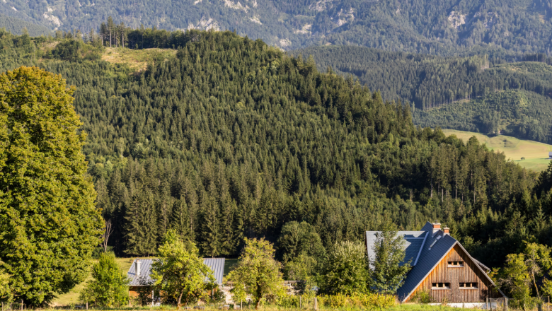 Biohof Oberhof (c)Daniel Kofler, © Ybbstaler Alpen_Karin Hager A farm in the middle of a wooded mountain landscape in Lunz am See.