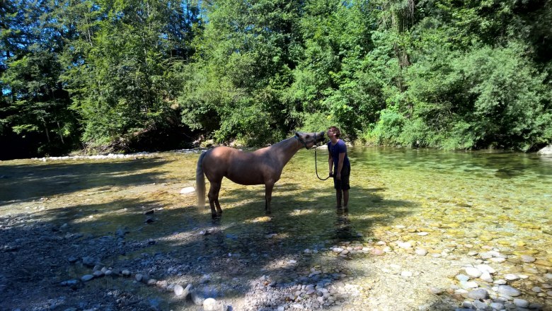 Horseback riding with the farm's own horses, © Heike und Arthur Schlögelhofer